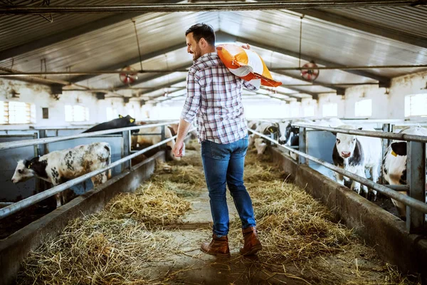 Rear View Handsome Caucasian Farmer Plaid Shirt Jeans Carrying Sack — Stock Photo, Image