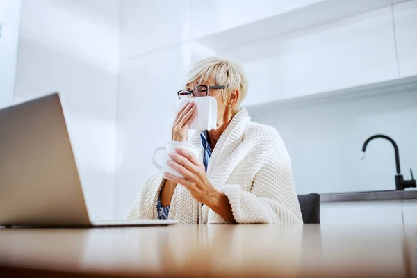 一位漂亮的高加索金发老妇人坐在餐桌前 满身都是毛毯 手里拿着茶杯 一边擦鼻涕 桌上有笔记本电脑 — 图库照片