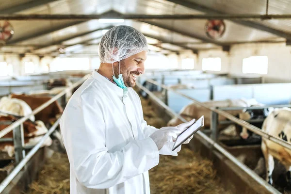 Veterinário Não Raspado Caucasiano Sorridente Atraente Uniforme Com Luvas Rede — Fotografia de Stock