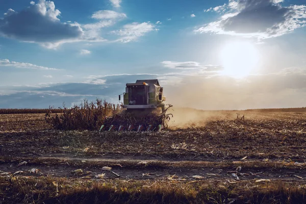 Picture Harvester Corn Field Harvesting Autumn Husbandry Concept — Stock Photo, Image