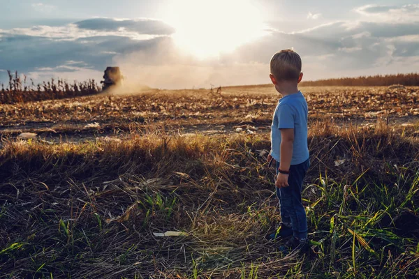 Pequeño Granjero Lindo Parado Campo Maíz Buscando Cosechadora Fondo Cosecha — Foto de Stock