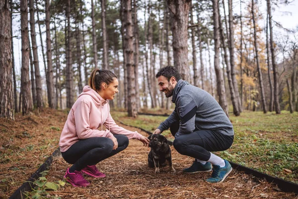 快乐的年轻夫妇穿着运动服蹲在树林里的小径上 相互凝视着 爱抚着流浪狗 跑完后休息 健康生活方式概念 — 图库照片