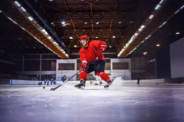 Dedicated Strong Caucasian Handsome Hokey Player Playing Hockey Ice Hall — Stock Photo, Image