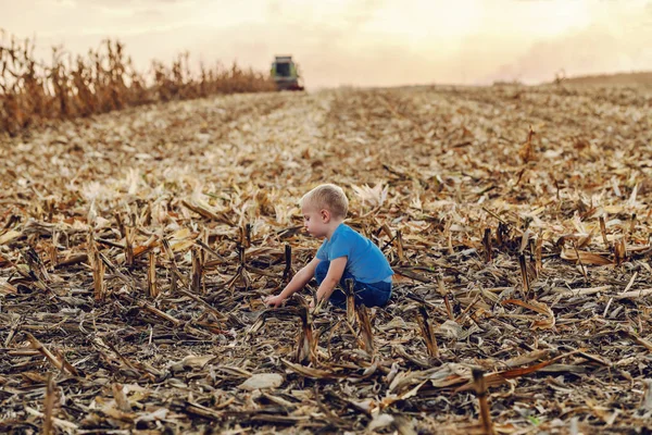 Side View Cute Little Farmer Boy Crouching Corn Field Playing Stock Photo
