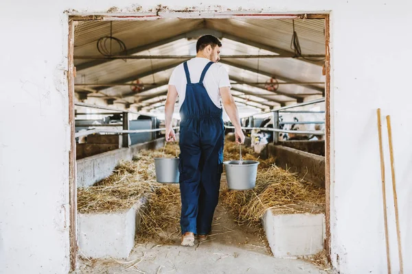 Achteraanzicht Van Knappe Blanke Boer Algemene Emmers Met Dierenvoer Handen — Stockfoto