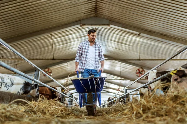 Full Length Handsome Caucasian Farmer Jeans Plaid Shirt Pushing Wheelbarrow — Stock Photo, Image