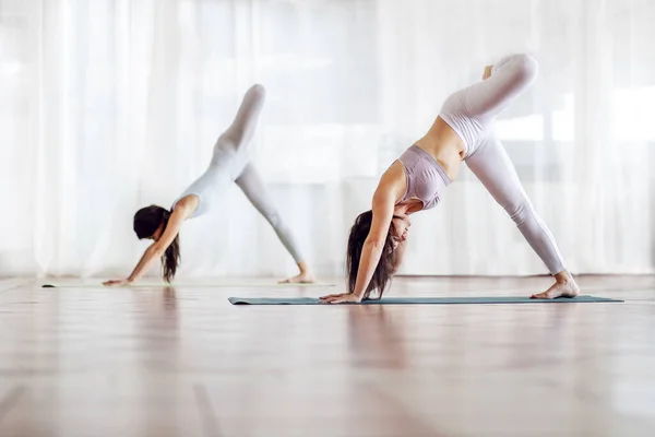 Dos Chicas Caucásicas Atractivas Flexibles Posición Yoga Con Tres Patas —  Fotos de Stock