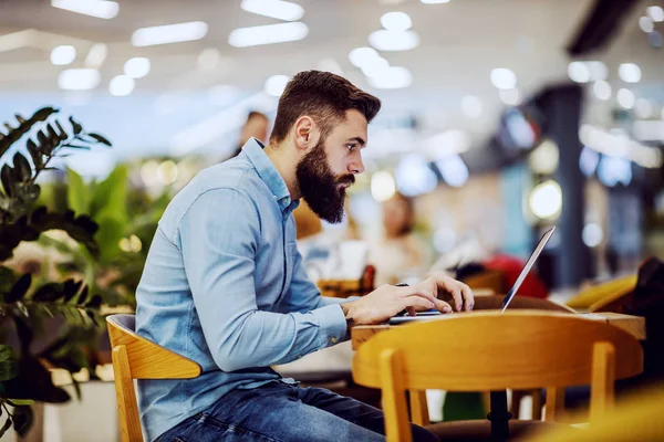 Side View Handsome Bearded Hipster Sitting Coffee Shop Surfing Internet — 스톡 사진