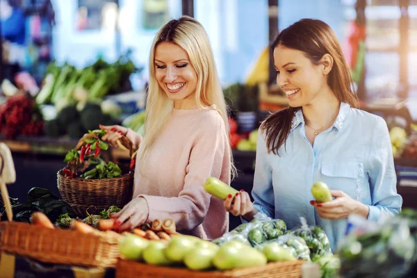 Due Attraenti Migliori Amici Sorridenti Con Abitudini Sane Che Scelgono — Foto Stock