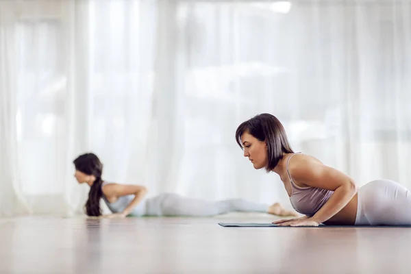 Two Attractive Fit Focused Caucasian Girls Low Cobra Yoga Position — ストック写真