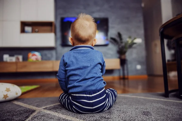 Hátsó Kilátás Fókuszált Szőke Kisfiú Padlón Nappaliban Néz Rajzfilmeket Televízióban — Stock Fotó