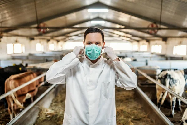 Jovem Veterinário Caucasiano Uniforme Proteção Celeiro Colocando Máscara Protetora Rosto — Fotografia de Stock