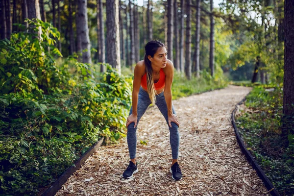 Müde Fit Schlanke Attraktive Kaukasische Brünette Sportbekleidung Und Mit Pferdeschwanz — Stockfoto