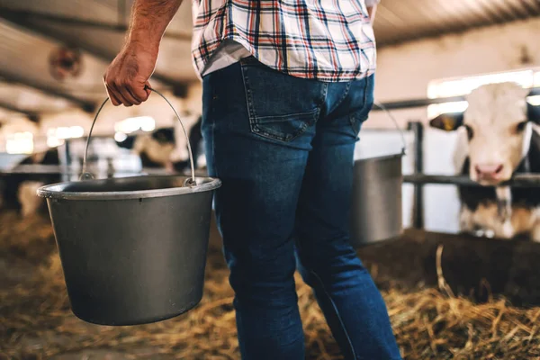 Close Farmer Walking Dairy Farm Holding Buckets Fresh Milk — Stock Photo, Image