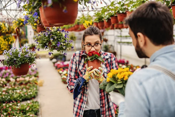 Vivero Jardín Mujer Trabajadora Pie Oliendo Flores Hombre Mira Sostiene —  Fotos de Stock