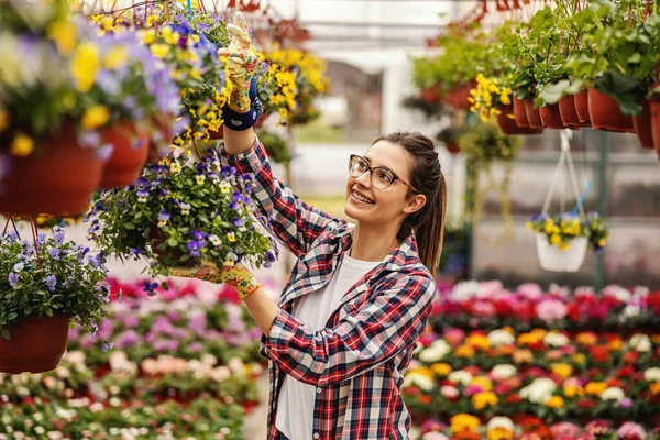 Fiatal Mosolygós Női Kertészeti Dolgozó Áll Lóg Fazék Virágokkal — Stock Fotó