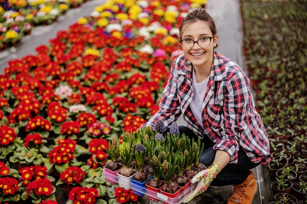 Fiatal Mosolygós Nőivarú Kertészmunkás Guggol Virágos Ládát Tart Kezében Mindenütt — Stock Fotó