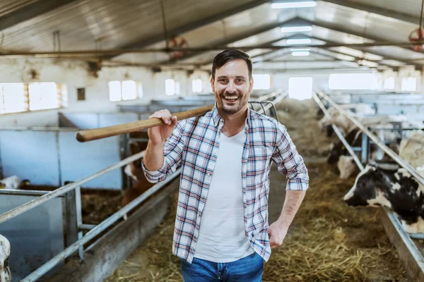 Handsome smiling unshaven caucasian farmer standing in stable with hay fork on shoulder. In background are calves and cows.
