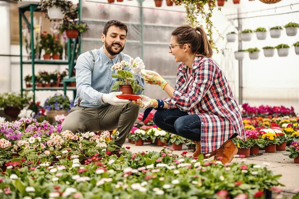 Jonge Ondernemers Hurken Houden Potten Met Bloemen Vast Broeikasinterieur — Stockfoto