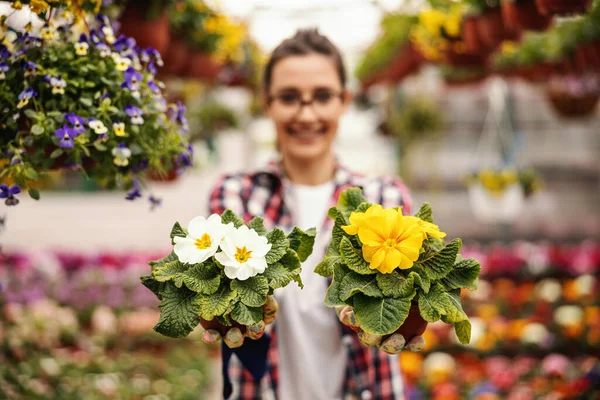 Joven Empresaria Sonriente Que Ofrece Hermosas Flores Colores Mirando Cámara — Foto de Stock