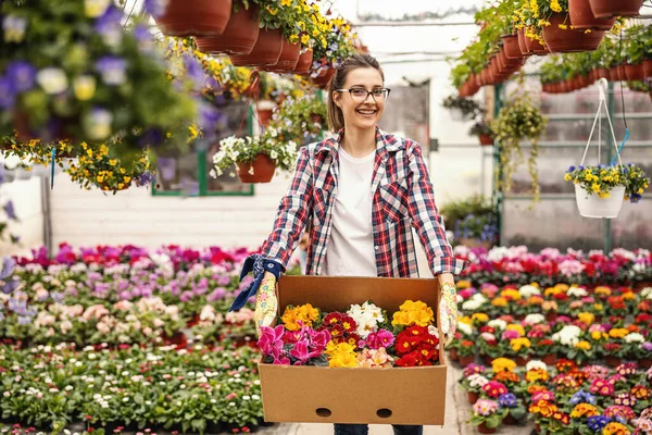 Unga Leende Blomsterhandlare Håller Låda Med Blommor Och Tittar Kameran — Stockfoto