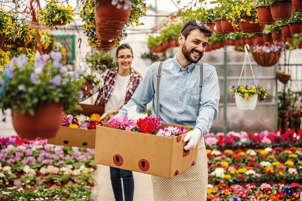 Dos Floristas Sonrientes Sosteniendo Cajas Con Órdenes Caminando Por Invernadero — Foto de Stock