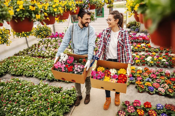 Dos Empresarios Trabajadores Sosteniendo Cajas Flores Con Pedidos —  Fotos de Stock