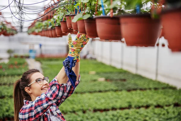 Joven Empresaria Trabajadora Que Cuelga Los Arbolitos Flores Mientras Está — Foto de Stock