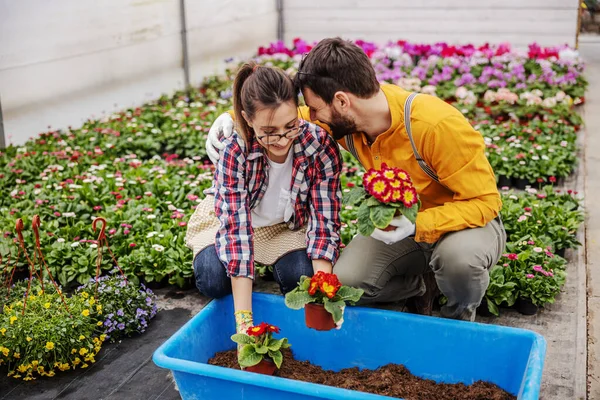 Deux Botanistes Amoureux Accroupissent Plantent Des Charrues Dans Sol Homme — Photo