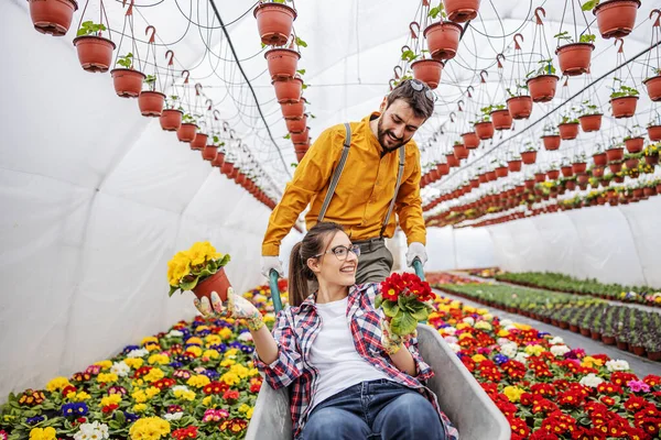 Jóvenes Emprendedores Felices Divirtiéndose Invernadero Hombre Está Montando Mujer Carretilla — Foto de Stock