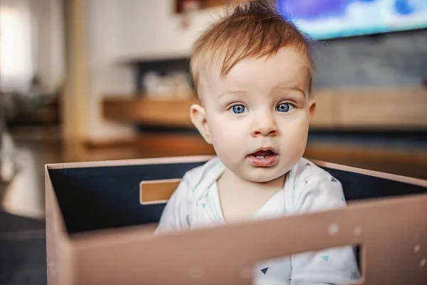 Petit Garcon Blond Confus Aux Yeux Bleus Assis Dans Une Boite Et Regardant La Camera Avec La Bouche Ouverte Interieur Interieur Fantaisie Mignon Stock Photo Petit Garcon Blond Confus Aux Yeux Bleus Assis Dans Une Boite Et Regardant La Camera Avec La Bouche Ouverte Interieur Interieur Fantaisie Mignon Stock Photo