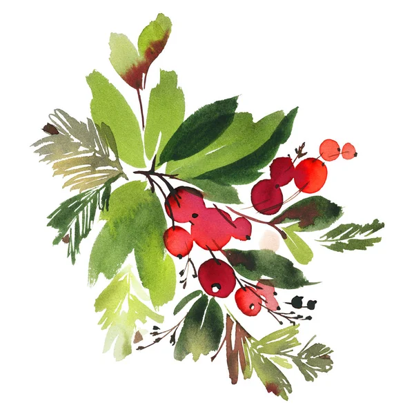 Carta acquerello natalizia con abete rosso e bacche. — Foto Stock