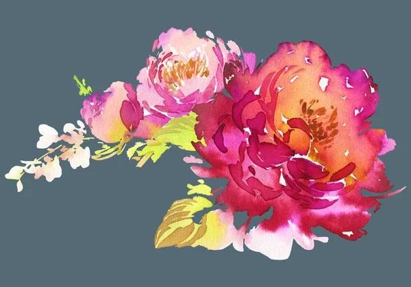 Flowers watercolor illustration — Stock Photo, Image