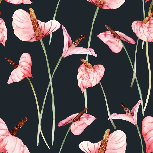 Naadloos Patroon Met Anthuriums Bloemen Donkere Achtergrond — Stockfoto