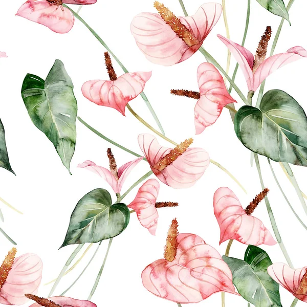 Naadloos Patroon Met Anthuriums Bloemen Aquarel Schilderen Geïsoleerd Wit — Stockfoto