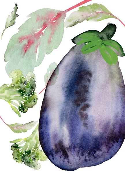 Menu Lilkovou Akvarelovou Kartou Zeleninou Bílém Pozadí — Stock fotografie