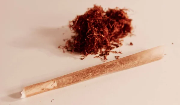 Close-up van warmgewalste sigaret gezamenlijke rooktabak — Stockfoto