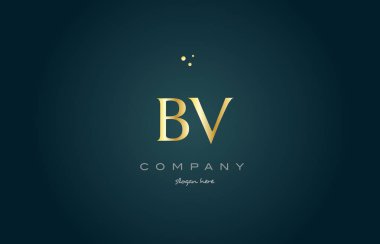 BV b v altın altın lüks Alfabe harf logo simge şablonu