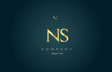 NS n s altın altın lüks Alfabe harf logo simge şablonu