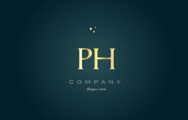 pH p h altın altın lüks Alfabe harf logo simge şablonu