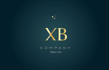 XB b altın altın lüks Alfabe harf logo simge şablon x