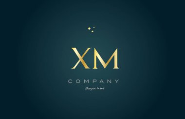XM x m altın altın lüks Alfabe harf logo simge şablonu