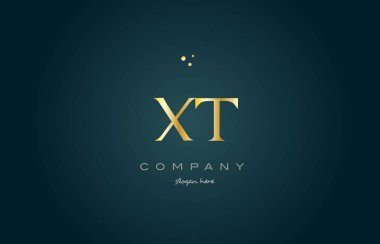 XT t altın altın lüks Alfabe harf logo simge şablon x