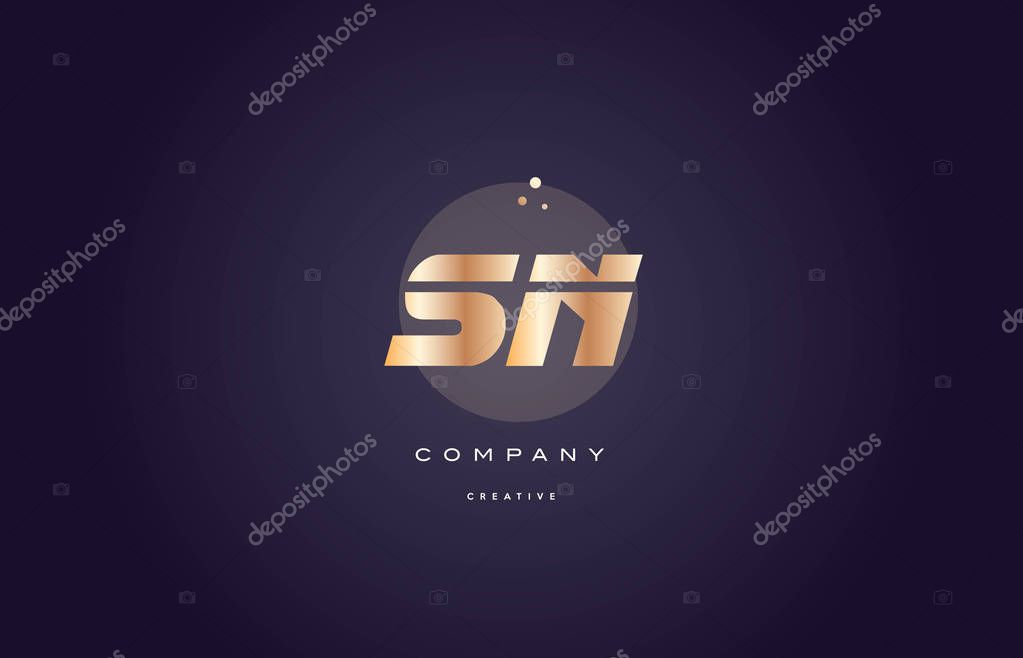 Sn s n  gold yellow golden metal metallic bold luxury product modern creative gradient alphabet company logo design vector icon template