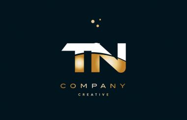 TN t n beyaz sarı altın altın lüks Alfabe harf logo ICO