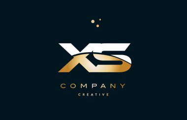 XS s beyaz sarı altın altın lüks Alfabe harf logo ICO x