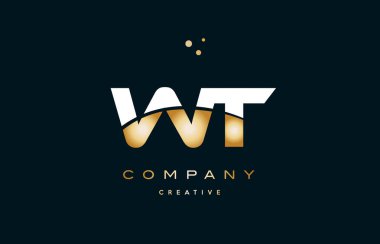 WT w t beyaz sarı altın altın lüks Alfabe harf logo ICO