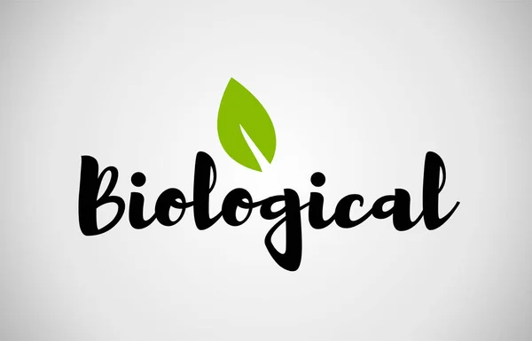 Biológiai zöld levél, kézzel írott szöveg, fehér háttér — Stock Vector
