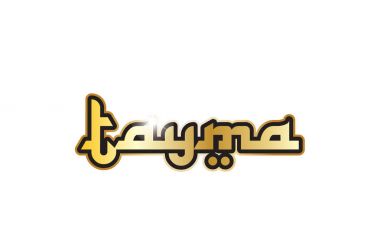 parti kelime metin afiş kartpostal logo simge tasarım yaratıcı izin