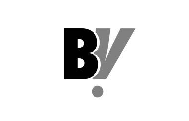 BV b v siyah beyaz gri Alfabe harf logo simge birleşimi 